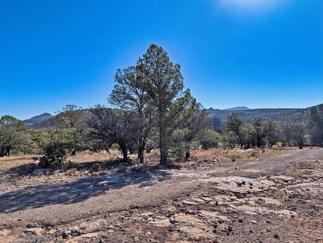 105 Crazy Horse Trail, Fort Davis, TX 79734