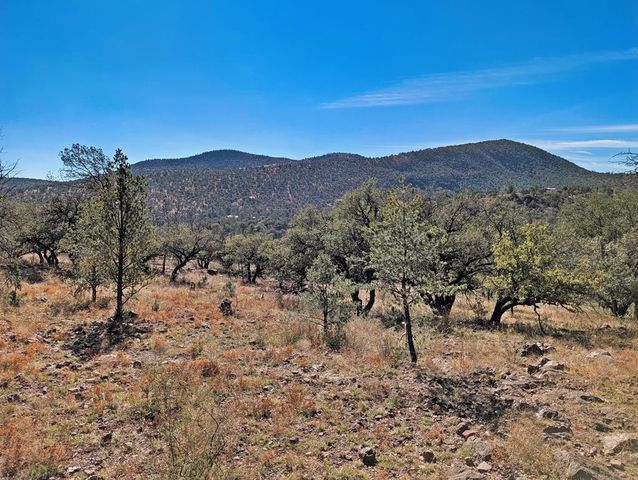 105 Crazy Horse Trail, Fort Davis, TX 79734