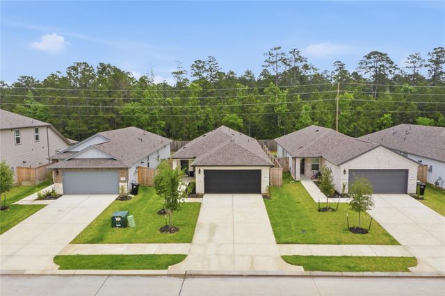 16687 Sterling Cliff Street, Conroe, TX 77302