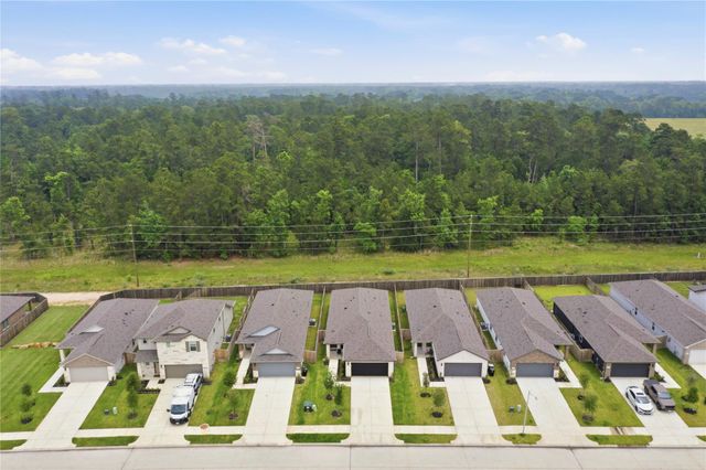 16687 Sterling Cliff Street, Conroe, TX 77302