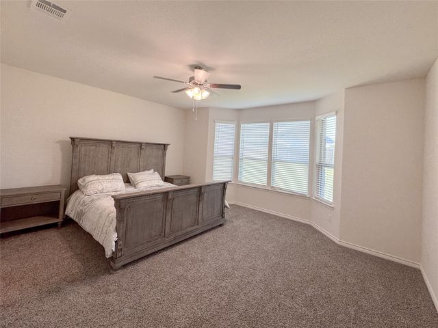 10305 Geode Street, Aubrey, TX 76227