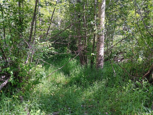 Lot 5244 Crossman Road, Fort Garland, CO 81133