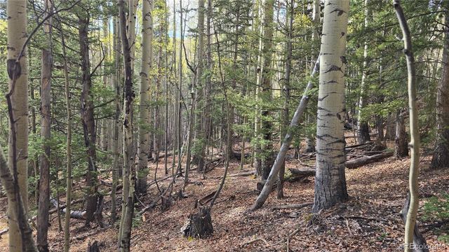 Lot 5244 Crossman Road, Fort Garland, CO 81133