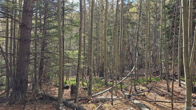 Lot 5244 Crossman Road, Fort Garland, CO 81133