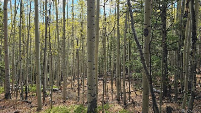 Lot 5244 Crossman Road, Fort Garland, CO 81133