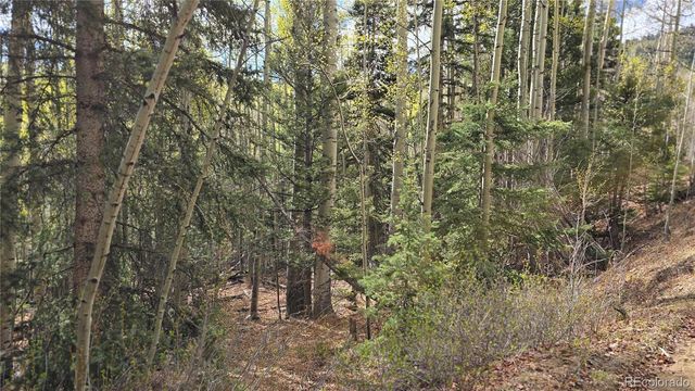 Lot 5244 Crossman Road, Fort Garland, CO 81133