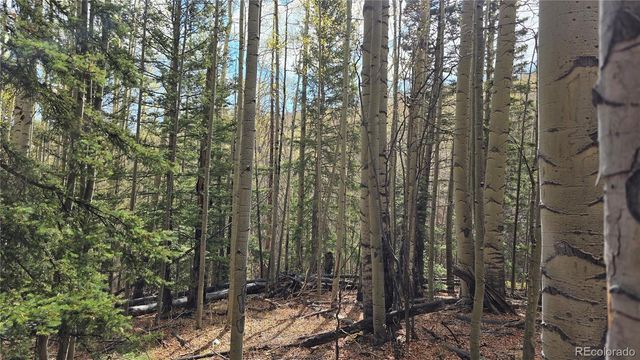 Lot 5244 Crossman Road, Fort Garland, CO 81133