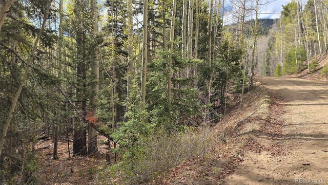 Lot 5244 Crossman Road, Fort Garland, CO 81133