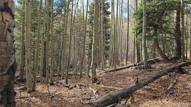 Lot 5244 Crossman Road, Fort Garland, CO 81133