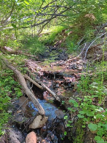 Lot 5244 Crossman Road, Fort Garland, CO 81133