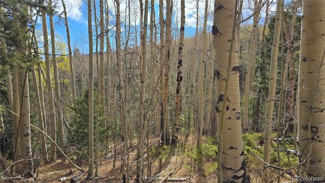 Lot 5244 Crossman Road, Fort Garland, CO 81133