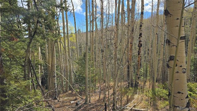 Lot 5244 Crossman Road, Fort Garland, CO 81133
