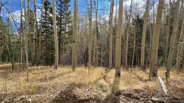 Lot 5244 Crossman Road, Fort Garland, CO 81133