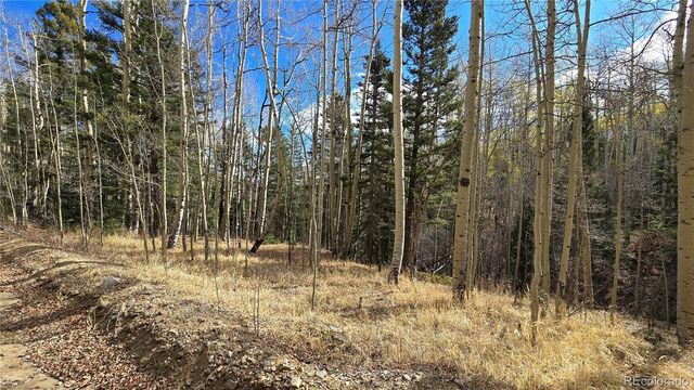 Lot 5244 Crossman Road, Fort Garland, CO 81133