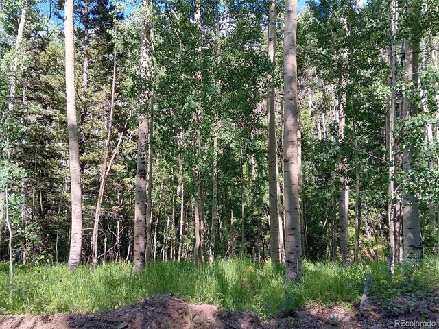 Lot 5244 Crossman Road, Fort Garland, CO 81133