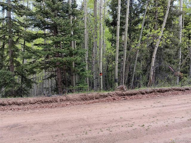 Lot 5244 Crossman Road, Fort Garland, CO 81133