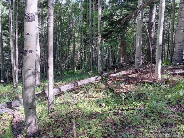 Lot 5244 Crossman Road, Fort Garland, CO 81133