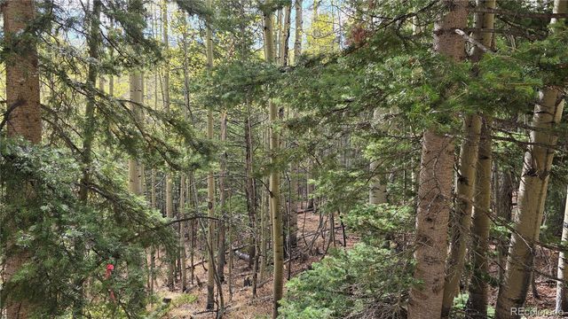 Lot 5244 Crossman Road, Fort Garland, CO 81133