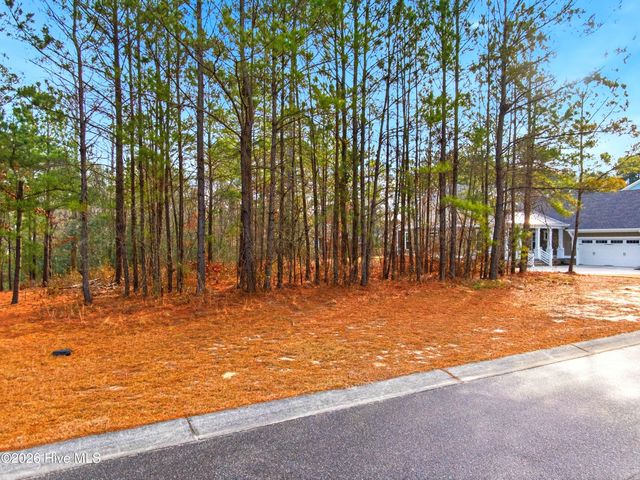 3772 Silver Melon Road NE, Leland, NC 28451