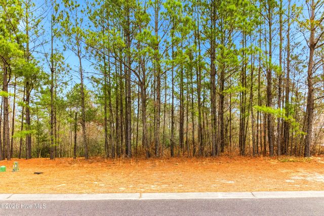 3772 Silver Melon Road NE, Leland, NC 28451