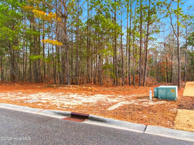 3772 Silver Melon Road NE, Leland, NC 28451