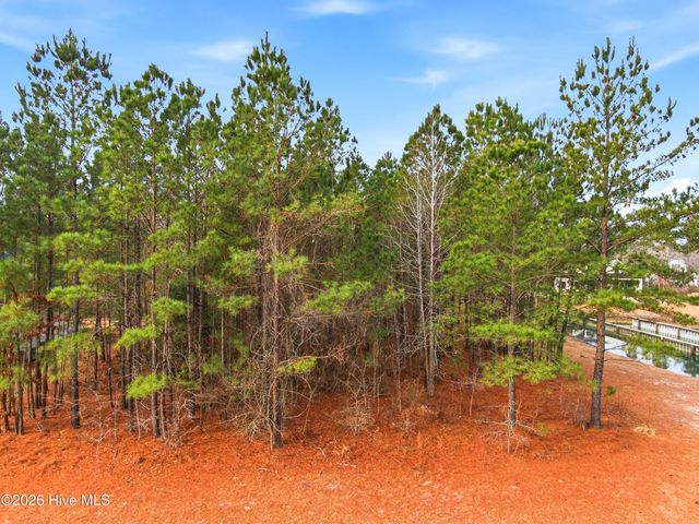 3772 Silver Melon Road NE, Leland, NC 28451