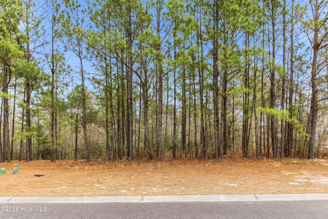 3772 Silver Melon Road NE, Leland, NC 28451