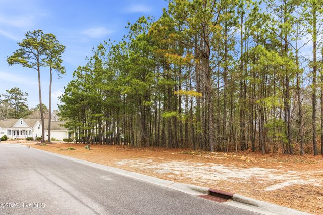 3772 Silver Melon Road NE, Leland, NC 28451