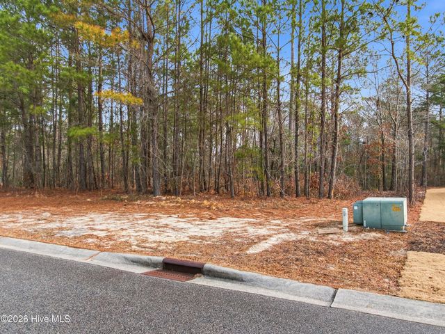 3772 Silver Melon Road NE, Leland, NC 28451
