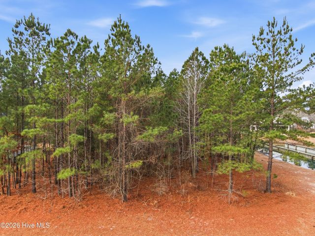 3772 Silver Melon Road NE, Leland, NC 28451