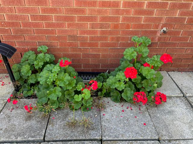 182 Bourbon Hills Drive, Paris, KY 40361