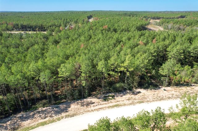 15409 Forest Grove Drive, Willis, TX 77378