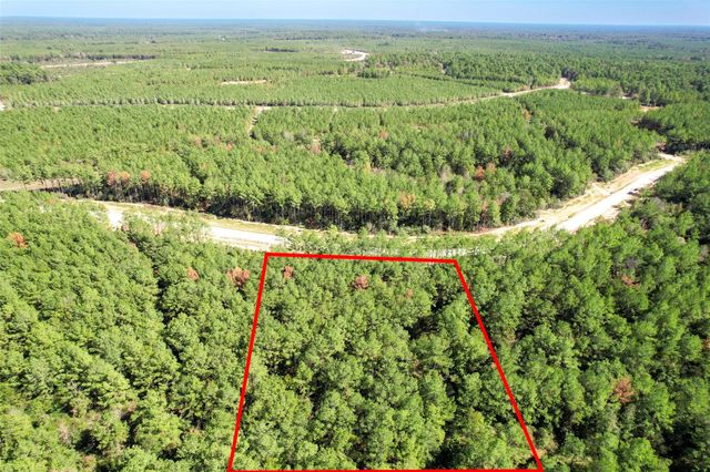 15409 Forest Grove Drive, Willis, TX 77378