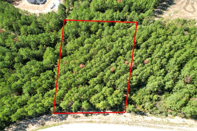 15409 Forest Grove Drive, Willis, TX 77378