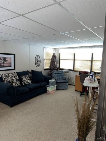 3013 Palmetto Drive, Weslaco, TX 78596