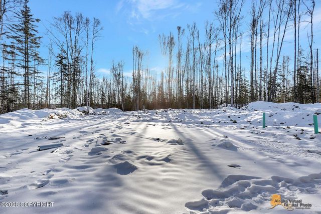 2249 N Skye Circle, Houston, AK 99694