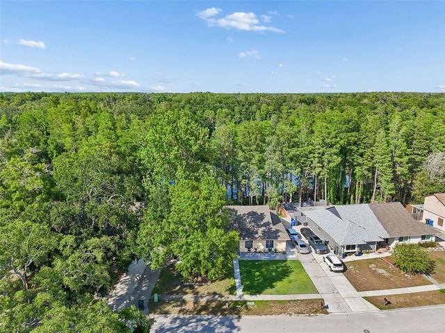 3410 LAUREL DALE DRIVE, Tampa, FL 33618