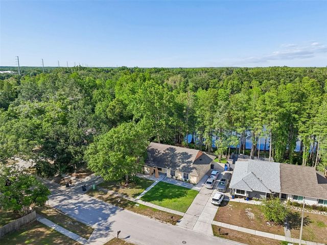 3410 LAUREL DALE DRIVE, Tampa, FL 33618