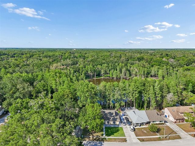 3410 LAUREL DALE DRIVE, Tampa, FL 33618