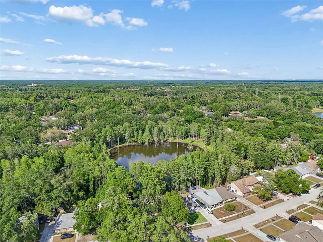 3410 LAUREL DALE DRIVE, Tampa, FL 33618