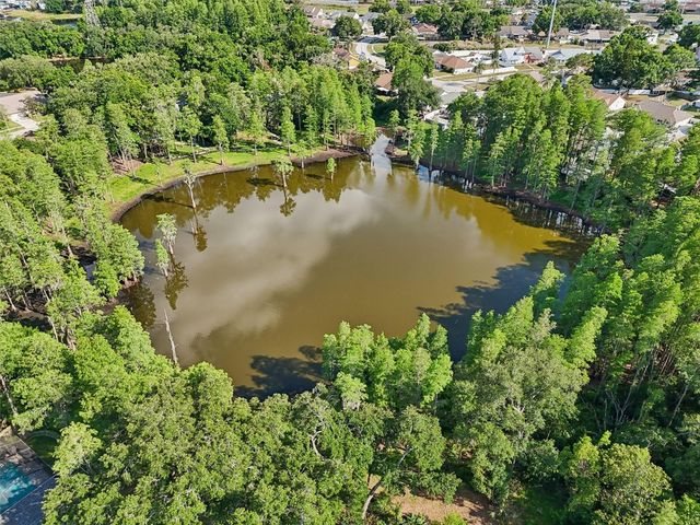 3410 LAUREL DALE DRIVE, Tampa, FL 33618
