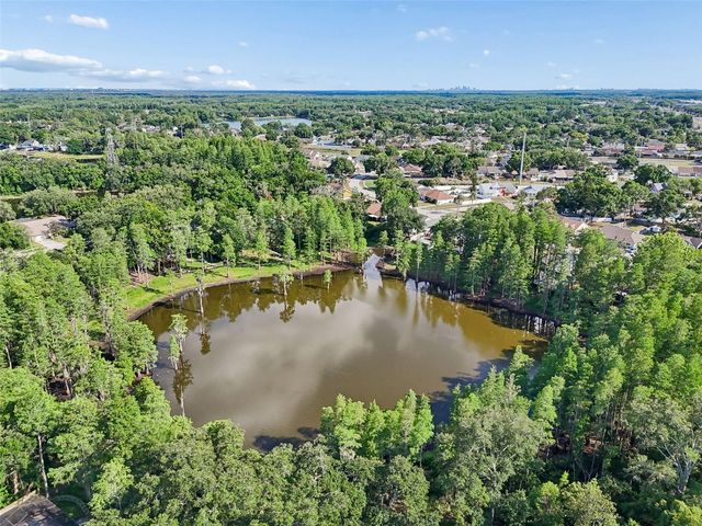 3410 LAUREL DALE DRIVE, Tampa, FL 33618