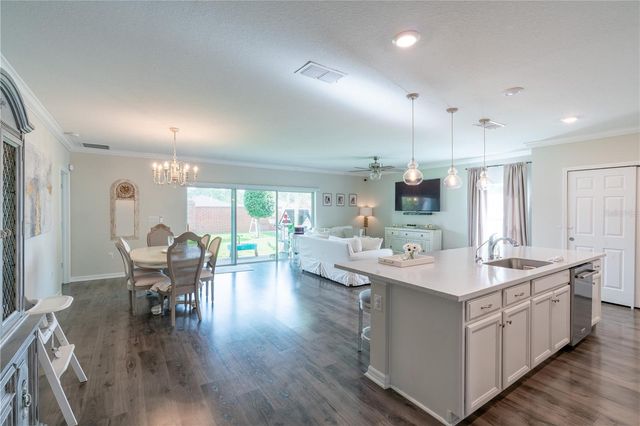 16261 YELLOWEYED DRIVE, Clermont, FL 34714