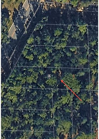 606 BADEN POWELL ROAD, Hawthorne, FL 32640