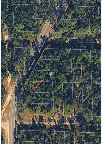 606 BADEN POWELL ROAD, Hawthorne, FL 32640