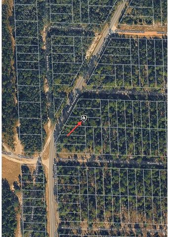 606 BADEN POWELL ROAD, Hawthorne, FL 32640