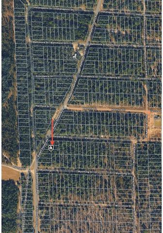 606 BADEN POWELL ROAD, Hawthorne, FL 32640