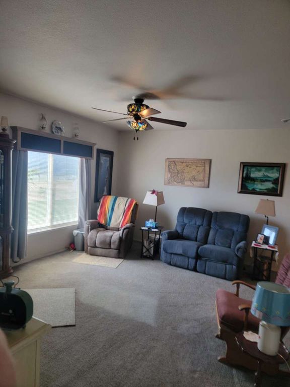 37 Lynch Creek Loop, Plains, MT 59859 photo 5