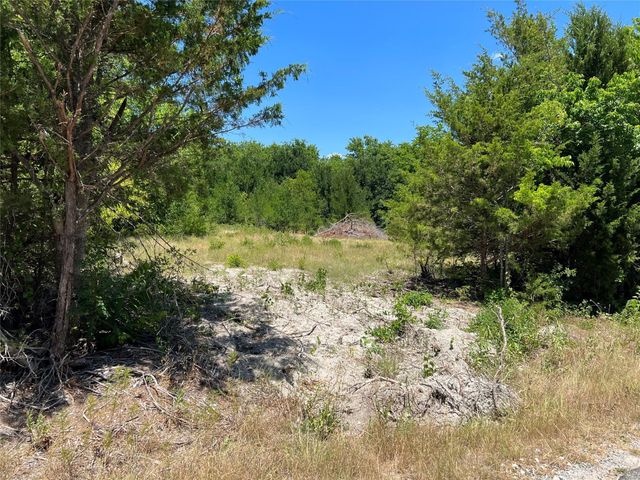 00 Bethel Cannon & Pilot Grove Road, Whitewright, TX 75491