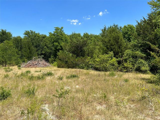 00 Bethel Cannon & Pilot Grove Road, Whitewright, TX 75491